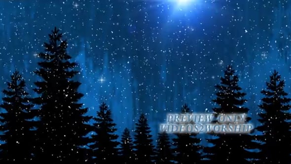 Read more about the article Silent Christmas Forest And Falling Snow