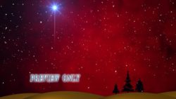 Read more about the article Christmas Trees And Shining Star Motion