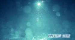 Read more about the article Baby Jesus: Christmas Motion Worship