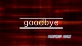 Goodbye: Red Fractal Closing Background