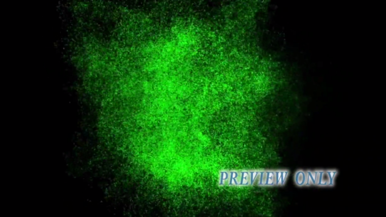 Read more about the article Swarm Of Flies: Exodus Background