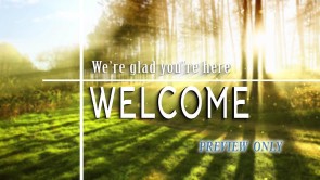 Read more about the article Morning Welcome Sun