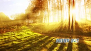 Read more about the article Sunday Morning: Beautiful Still Image