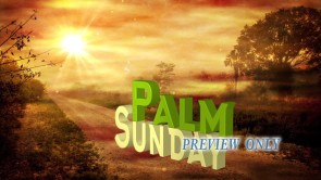 Read more about the article Palm Sunday 3D Title: Still Image