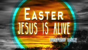Read more about the article Jesus Is Alive: Easter Title Motion