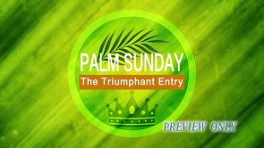 Read more about the article Triumphant Entry Still Background