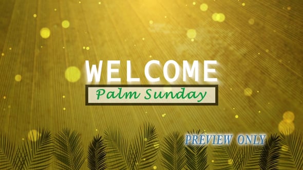 Read more about the article Palm Sunday: Still Welcome Background