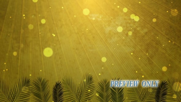 Read more about the article Green Palm Sunday Motion Video Background