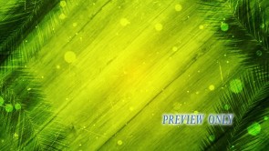 Read more about the article Palm Sunday Still Background
