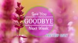Read more about the article Mother’s Day Goodbye: Floral Video Background