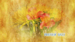 Read more about the article Vintage Backgroung Flowers For Mother’s Day