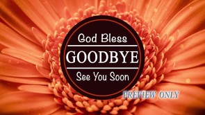 Read more about the article Floral Goodbye Motion Video Loop