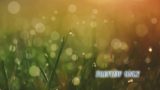Summer Grass: Free Background