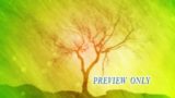 The Lone Tree Worship Motion Background