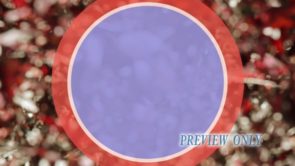 Read more about the article Patriotic Nature Motion Background