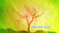 Read more about the article Tree Worship Motion Video Graphics