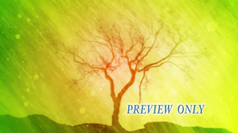 Read more about the article Tree Worship Motion Video Graphics