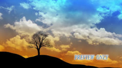 Read more about the article Tree And Moving Clouds Video Background