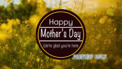 Read more about the article Mother’s Day Title Motion: Field Of Flowers