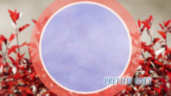 Read more about the article Patriotic Nature Fourth Of July