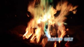 Read more about the article Still: Camp Fire