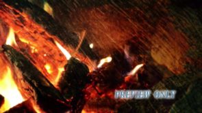 Read more about the article Summer Background Loop: Camp Fire