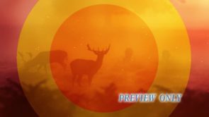 Read more about the article Still: As The Deer