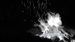 Read more about the article Black And White Camp Fire Motion