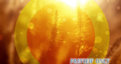 Read more about the article Summer Grass Worship Motion Graphics