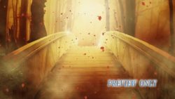 Read more about the article Autumn Bridge: Flying Leaves