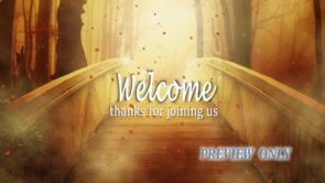 Read more about the article Still: Bridge Welcome