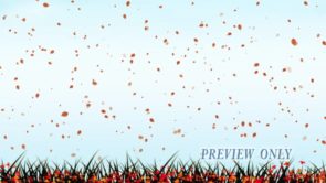 Read more about the article Autumn Flying Leaves And Grass Motion