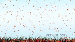 Read more about the article Still: Flying Leaves