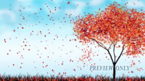 Read more about the article Still: Autumn Red Tree