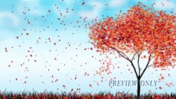 Read more about the article Tree And Falling Leaves Motion