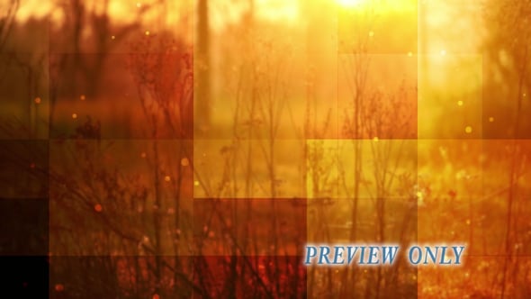 Read more about the article Still: Gold Nature