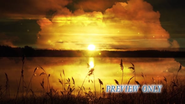 Read more about the article Golden Sunset: Nature Background