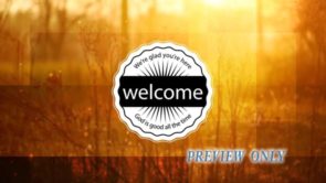 Read more about the article Still: Golden Welcome