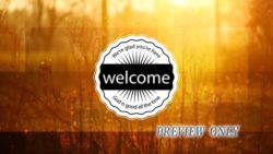 Read more about the article Still: Golden Welcome