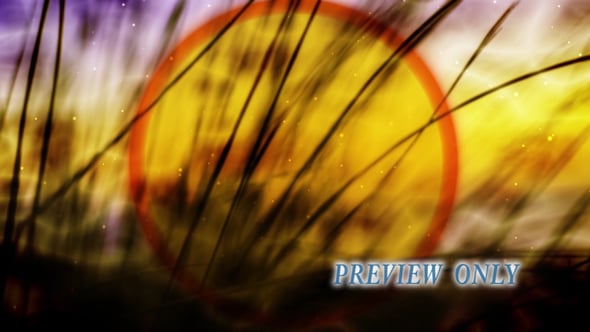 Tall Grass: Fall Worship Video Background