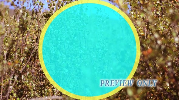 Nature Foliage Worship Motion Background