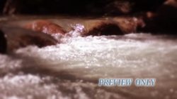 Read more about the article The River: Nature Motion Loop