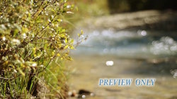 Read more about the article River Bank Motion Worship