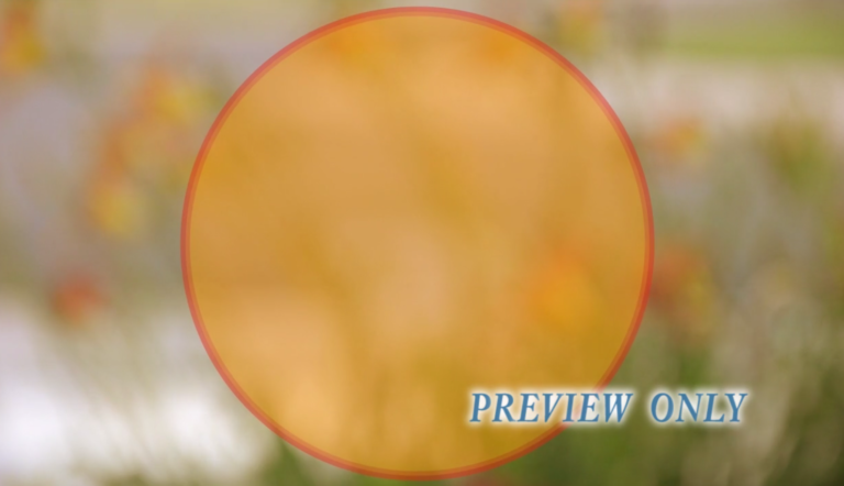 Read more about the article Blurred Flowers Nature Motion Background