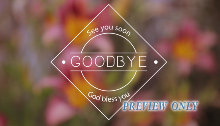 Read more about the article Blurred Flowers Goodbye Background