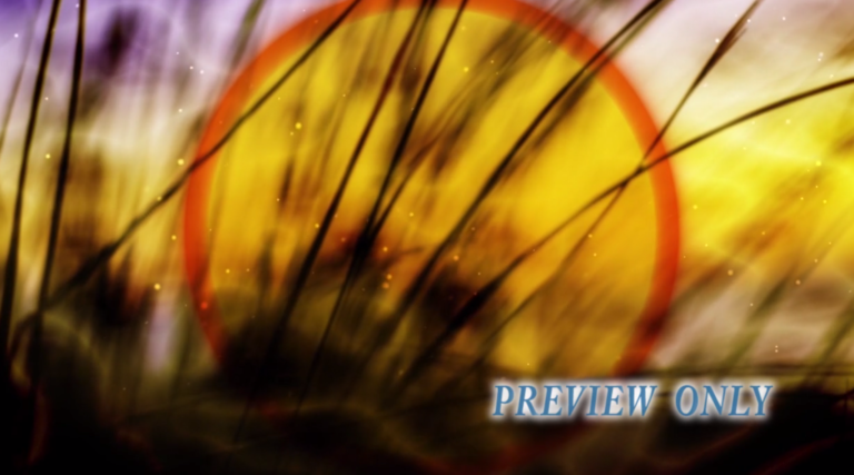 Read more about the article Tall Grass: Fall Worship Video