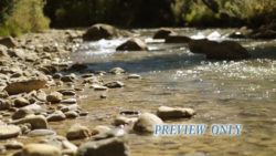 Read more about the article Let The River Flow Background