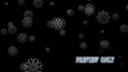 Read more about the article Large Snow Flakes On Black Background