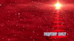 Read more about the article Red Christmas Tree And Bright Star