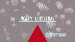 Read more about the article Still: Merry Christmas